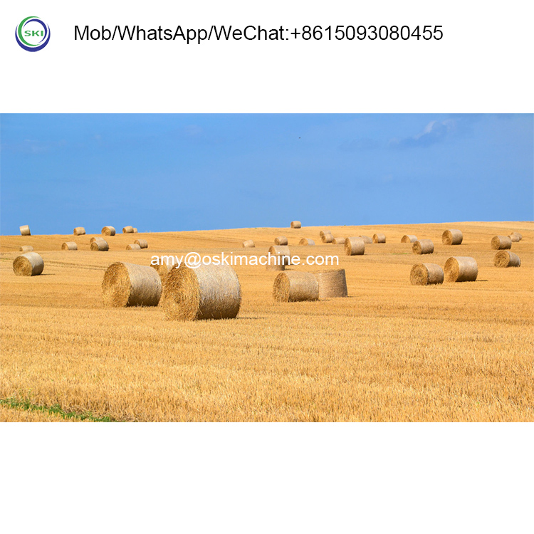 Empacadora Automática de Ensil - Silage Baler Machine reseña y precio